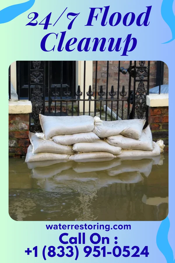 24/7 Flood Cleanup in Alto, TX