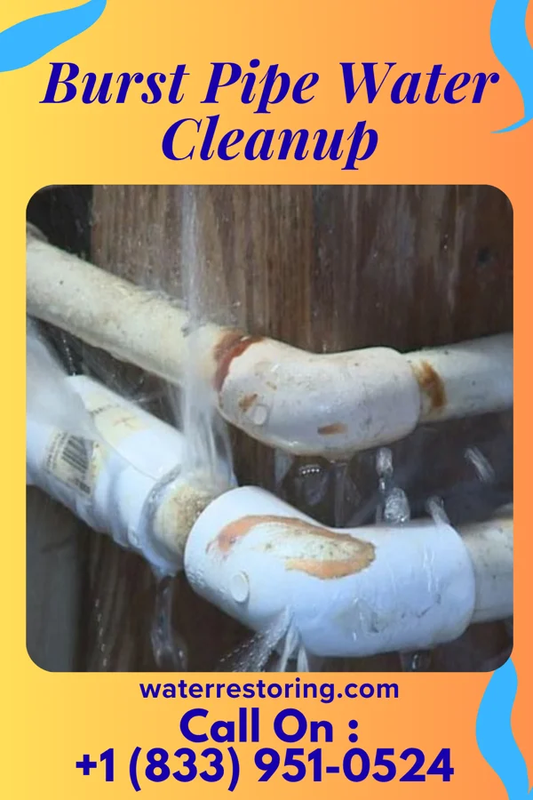 Burst Pipe Water Cleanup in Alto, TX