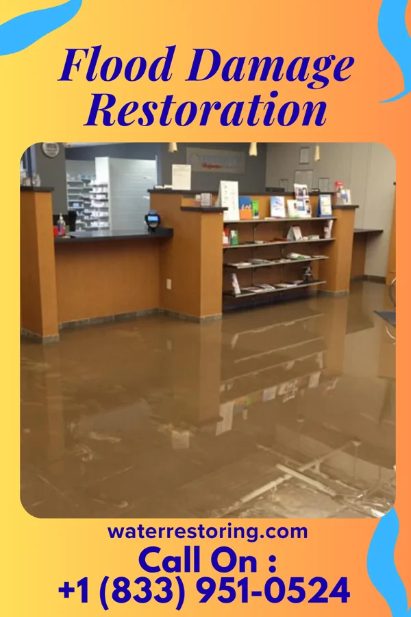 Flood Damage Restoration in Alto, TX