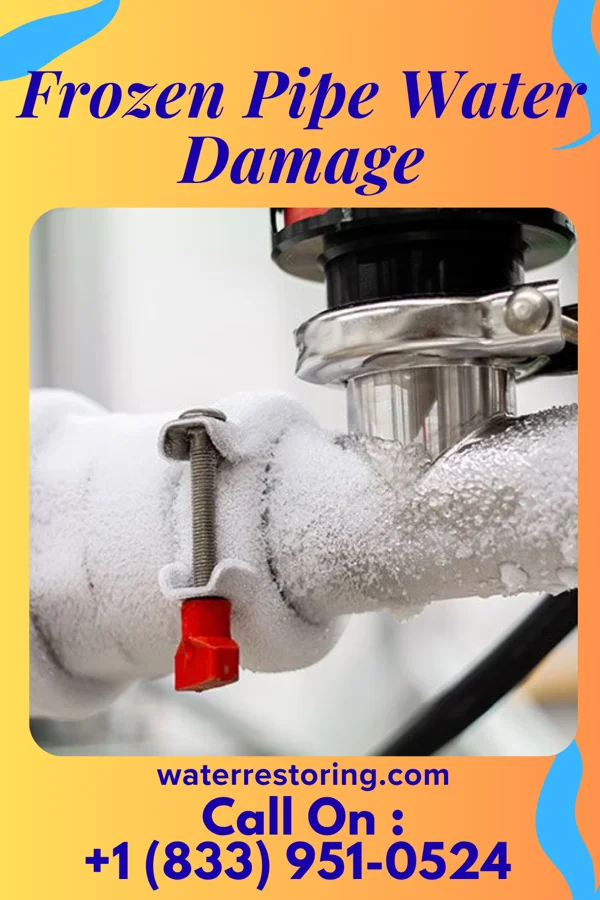 Frozen Pipe Water Damage in Alto, TX