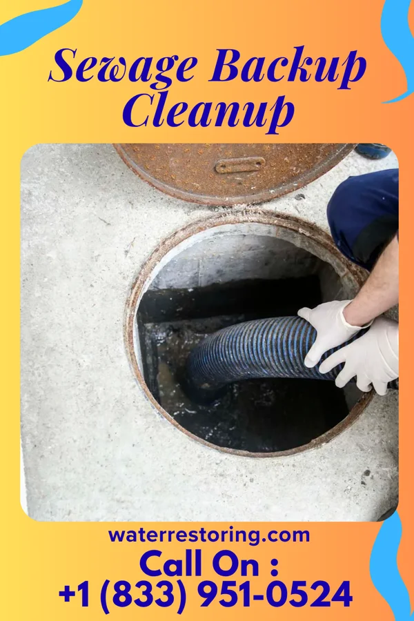 Sewage Backup Cleanup in Alto, TX