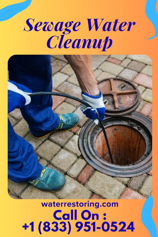 Sewage Water Cleanup in Alto, TX