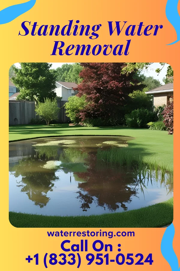 Standing Water Removal in Alto, TX